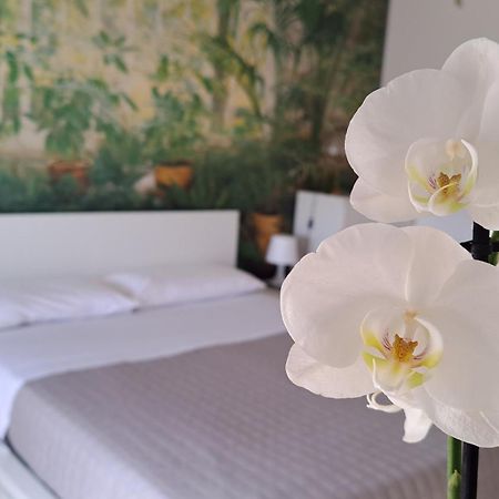 Appartamento Roma Citta Giardino Екстериор снимка